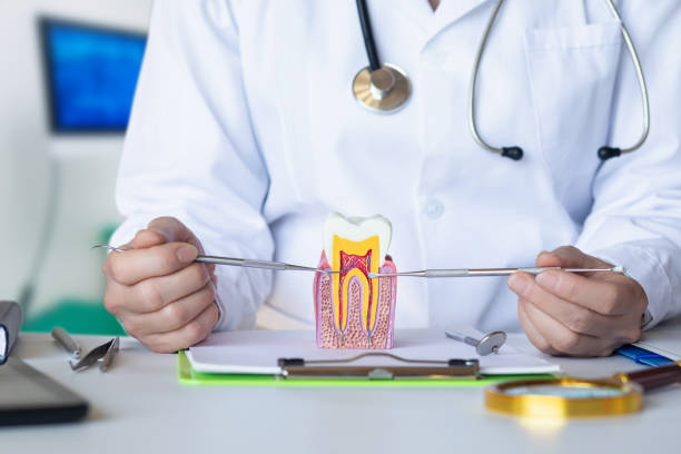 Best Emergency Orthodontic Repairs in Harvey, IL